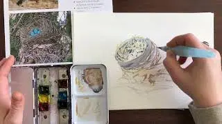 The Nature Journaler: Journaling Spring Watercolor Robin's Nest