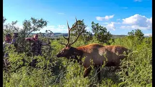 Danger Close Bulls - Marc Warnke