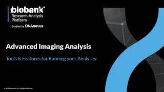Advanced Image Analysis: Tools and Features for Running Your Analyses