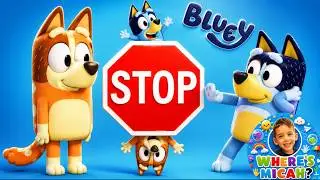 Counting to 20 with BLUEY FAMILY
