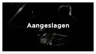 Aangeslagen - Wouter Haest