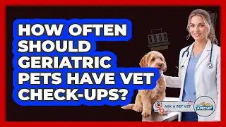 How Often Should Geriatric Pets Have Vet Check-Ups?