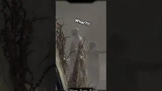 This Resident Evil 4 Randomizer is a Nightmare