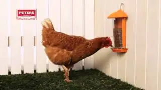 Peters Dried Mealworms