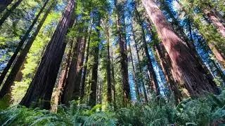 Meditation for Stillness, Calm & Ease