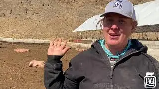 Farm Tour
