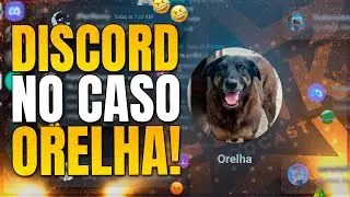 🔴ATUALIZAÇÃO NO CASO DO CÃO ORELHA| LINK PODCAST | LINK PODCAST