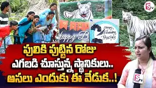 White Tiger Birthday Celebration At Indira Gandhi Zoological Park Visakhapatnam || SumanTV