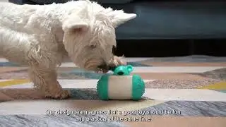 Pet supplies&nbsp;factory &nbsp;dogs product&nbsp;manufacturer dog toys&nbsp;cat toy Pets products&nbsp;manufacturers YM11488