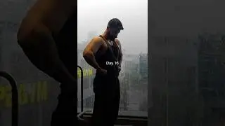 The Bulk Day 16 | Chest, Triceps & Delts