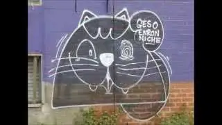 Melbourne's Graffiti Cat