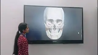 Dilizen Impression&rsquo;s Interactive Panel Solutions | digital smart board