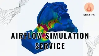 Empty Nose Syndrome | Airflow Simulation Service