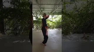 Wudang style Tai Chi Form 28 | SomaticArtsHub | Cambodia
