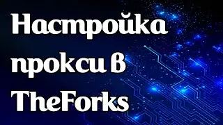 Как задать прокси в TheForks