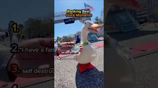 Ranking Best Duck Moments🤣