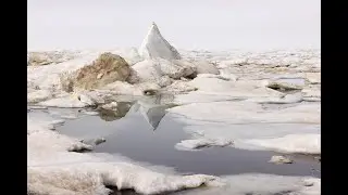 Sea Ice Thickness Observations from Satellites and Buoys: Sea Ice Jan 2026 Meeting