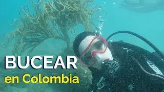 &iquest;Quieres BUCEAR EN COLOMBIA? An&iacute;mate a hacerlo conmigo. | Buceo en Santa Marta | Espa&ntilde;ol con Mar&iacute;a