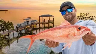 You won&rsquo;t BELIEVE what this fish ate! [Florida Keys deep dropping for Queen Snapper catch and cook]