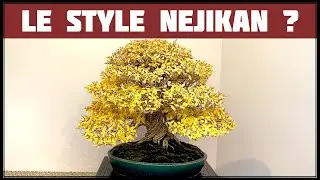 LE STYLE NEJIKAN par Alexandre ESCUDERO 🔴NEJIKAN CLUB EXPERT🔴