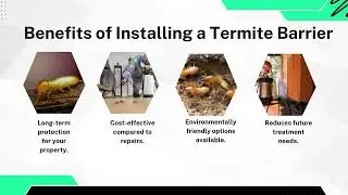Termite Barrier Gold Coast: Protect Your Property from Termite Damage