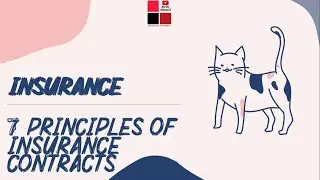 Principles of Insurance | 7 Insurance Principles | Insurance Contract | IT#6