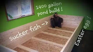 How To Build A Bulletproof Indoor/Outdoor fish pond all from home depot part 3