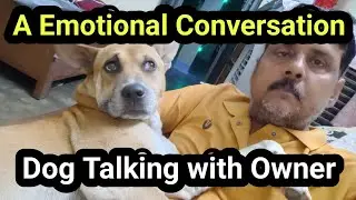Dog Talking with Owner | Open the door 