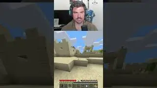 Top Notch Quality #gaming #minecraft #minecraftspeedrun