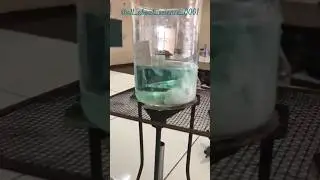 Science experiment🧪 #science #experiment #lab #scienceexperiment #learningbydoing #colour #chemistry
