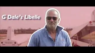 G Dale's Libelle