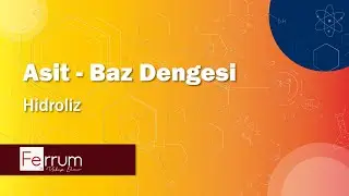 Hidroliz | Asit - Baz Dengesi