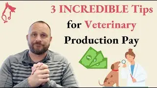 3 INCREDIBLE Tips on Understanding Veterinary Production Pay