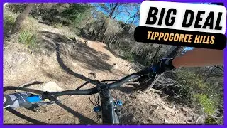 Big Deal - NEW Trail - Tippogoree Hills (4K)