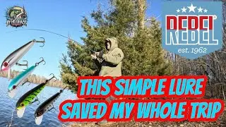 Эта приманка Rebel спасла мою рыбалку. @RebelLures @LurenetFishing