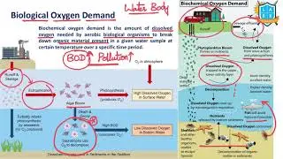 What is Biological Oxygen Demand ? || Biological Oxygen Demand (BOD) అంటే ఏమిటి? || La Excellence