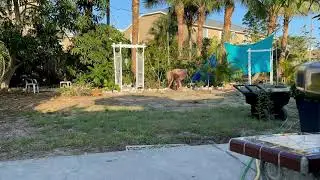 Beach Chicks: Supervising Shell&rsquo;s Yoga Garden&rsquo;s Creation of Shade