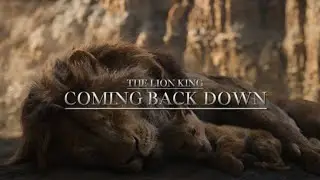 Lion King tribute | Coming Back Down || MTLK+TLK (live actions)