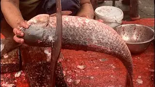 I never seen ll giant Rouhfish cutting live skills by expert fish cutter in Fishmarket 