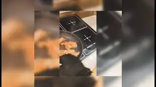 Fat-free chicken.Low flame cooking.Salt & black pepper only.Real chef. Real technique. 🍗🔥