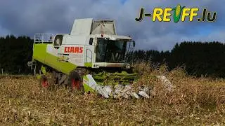 Mais dreschen | J-Reiff | Claas Lexion 480 // Claas Convio Speed 875 FC | Luxemburg 2025