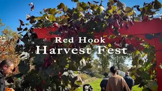 Brooklyn, New York【Red Hook Harvest Fest 🎃 | Red Hook Farms】Oct 19, 2024【4K】