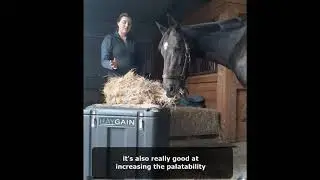 Alysha Harlen tells us why she steams her hay.