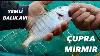 Kıyıdan Yemli Avı - &Ccedil;upra Mırmır