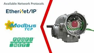 Enhancing data collection with Integrated Ethernet