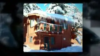 Pet Friendly Hotels in Mammoth