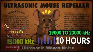 19000 to 21000 kHz Stop Mice Activity Using High Frequency Sound 🐭🔊🚫 | Scientifically Calibrated