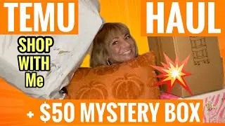 TEMU HAUL 11-20-24 & $50 Mystery Box @temu #temu #temuhaul #mysterybox #temufinds #pinkzebra #haul