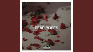 Dead Roses