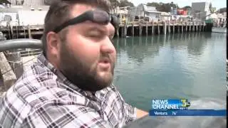 shark sighting in morro bay